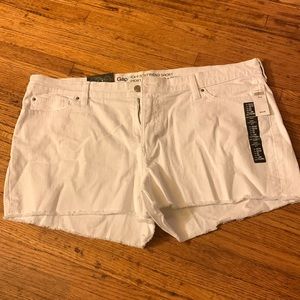 Women’s Shorts